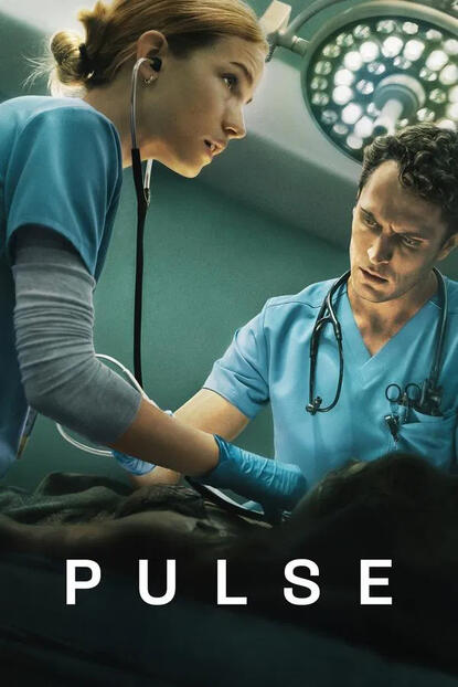 Pulse Subtitle and Script Translation