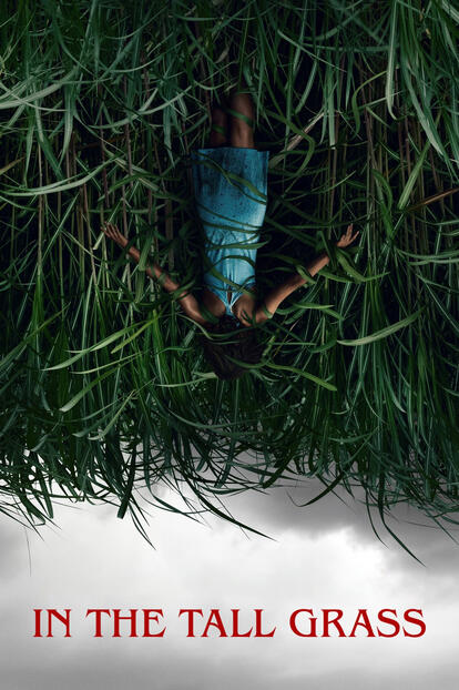 In the Tall Grass Subtitle Translation